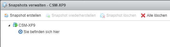manage_snapshots_DE.png